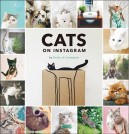 CATS ON INSTAGRAM