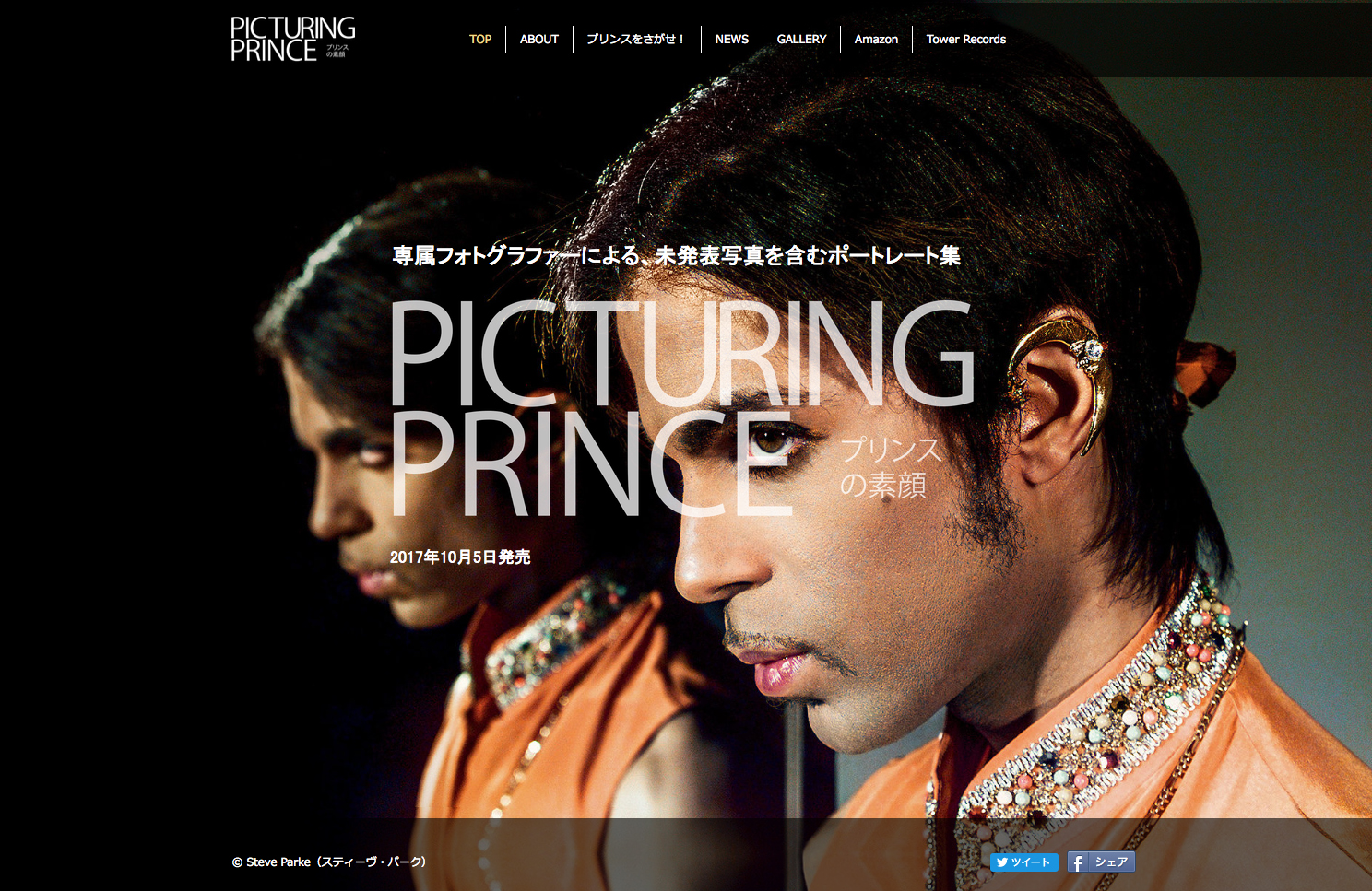 Picturing Prince Special Site